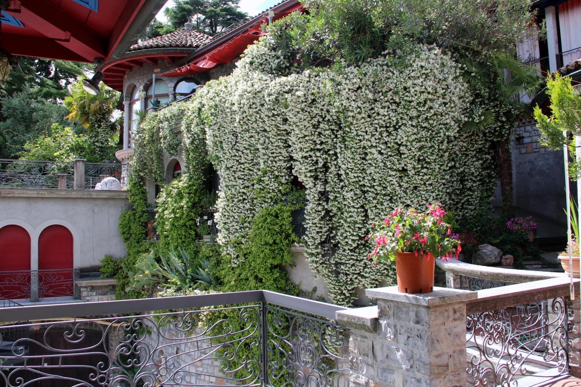 Barony Le Pergole Holiday Apartments Лугано Екстериор снимка