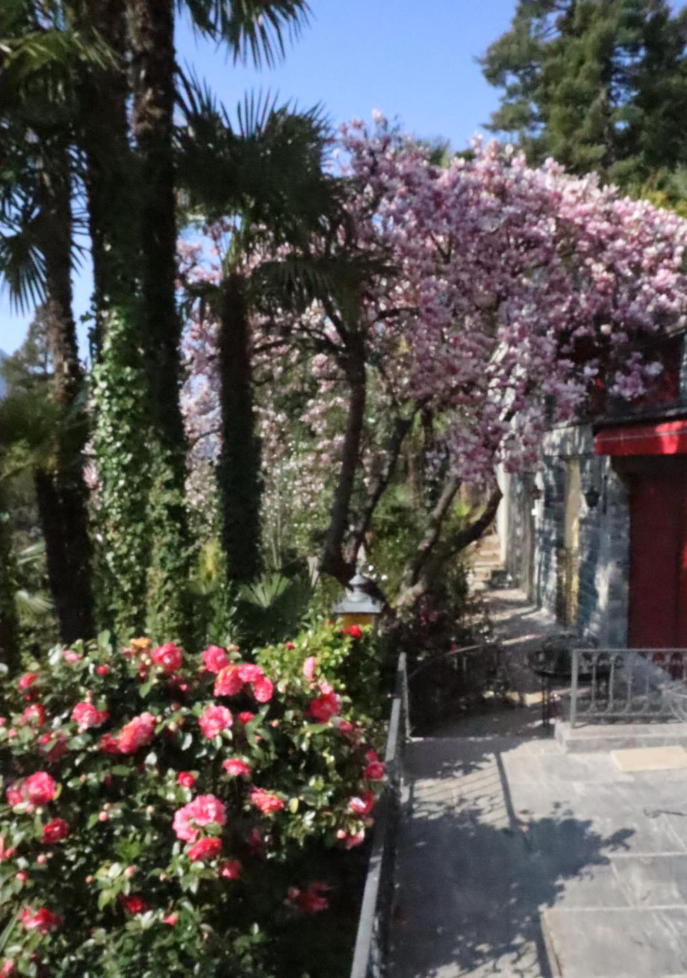 Barony Le Pergole Holiday Apartments Лугано Екстериор снимка